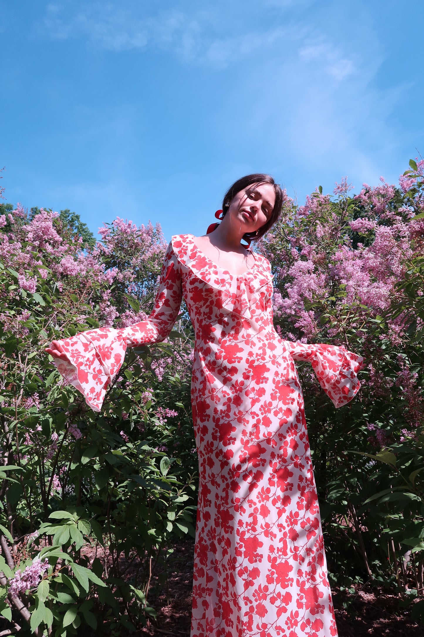 Shellona Dress Red Floral